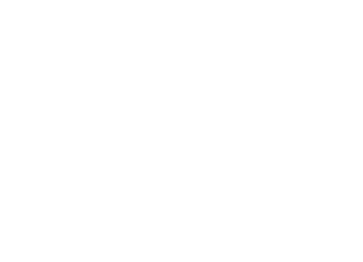 SAM Industriel